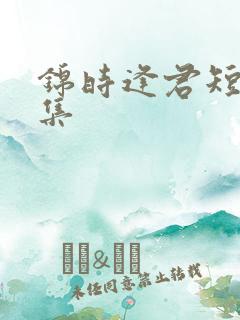 锦时逢君短剧合集