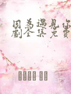 因为遇见你电视剧全集免费流畅播