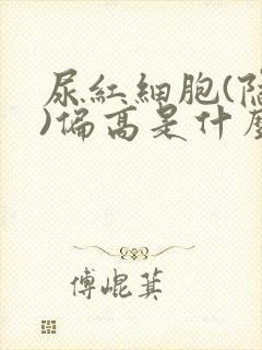 尿红细胞(隐血)偏高是什么原因