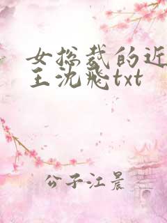 女总裁的近身兵王沈飞txt