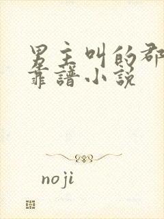 男主叫的郡主不靠谱小说