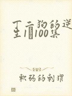 丁二狗的逆袭人生1–100集