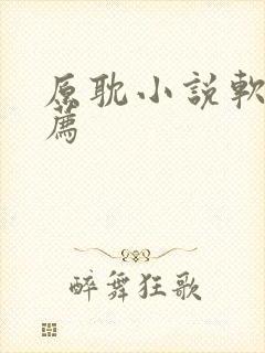 原耽小说软件推荐