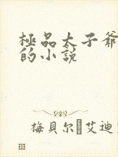 极品太子爷李辰的小说