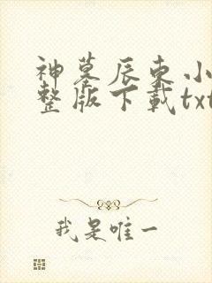 神墓辰东小说完整版下载txt