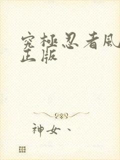 究极忍者风暴4正版