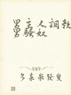 男主人调教中国男骚奴