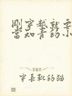 刚穿越就要下乡当知青的小说