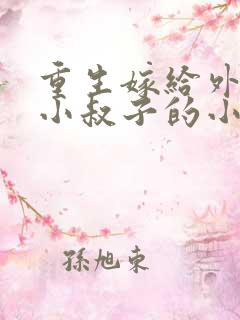 重生嫁给外交官小叔子的小说