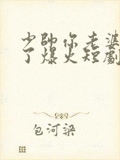 少帅你老婆又跑了爆火短剧