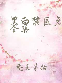 黑白禁区免费看全集