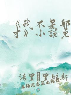 《我不是那种人才》小说免费阅读