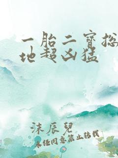 一胎二宝总裁爹地超凶猛