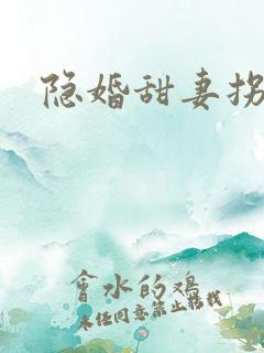 隐婚甜妻拐回家