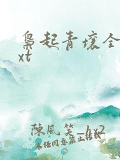 枭起青壤全本txt