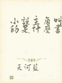 小说主角叫林凡的是什么书