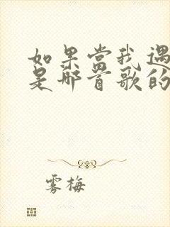 如果当我遇见你是哪首歌的歌词