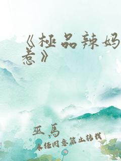 《极品辣妈不好惹》