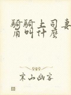 骑骑上司妻女主角叫什么