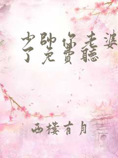 少帅你老婆又跑了免费听