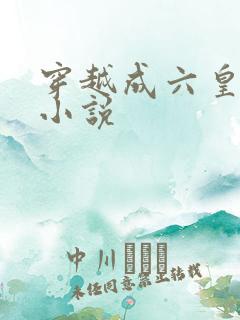 穿越成六皇子的小说