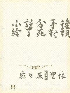 小说分手后我嫁给了死对头的前男友全文