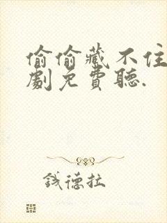 偷偷藏不住广播剧免费听.