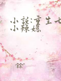 小说:重生七零小辣媳