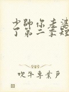 少帅你老婆又跑了第二季短剧免费观看