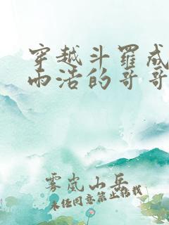 穿越斗罗成为霍雨浩的哥哥