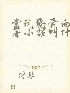 当我飞奔向你原著小说叫什么