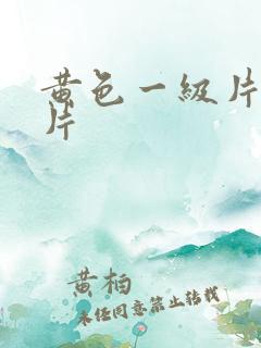 黄色一级片生活片