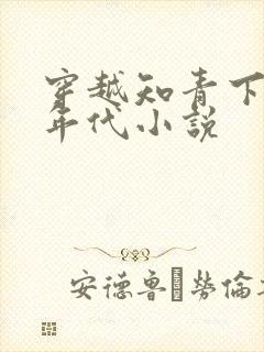 穿越知青下乡的年代小说