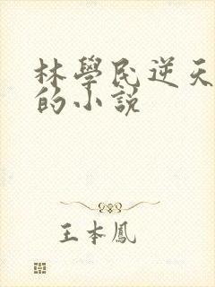 林学民逆天改命的小说