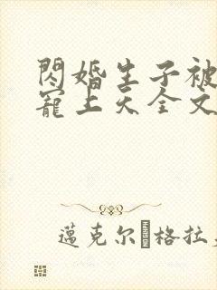 闪婚生子被老公宠上天全文免费阅读