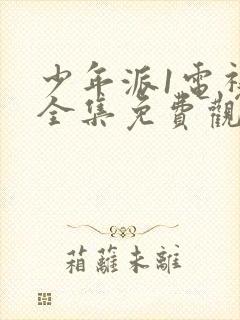 少年派1电视剧全集免费观看完整版