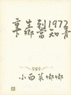重生到1972下乡当知青的小说