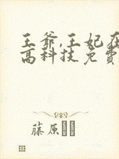 王爷,王妃在玩高科技免费阅读