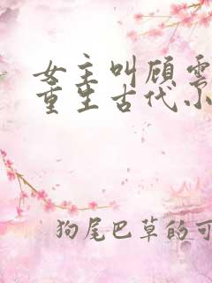 女主叫顾云兮的重生古代小说