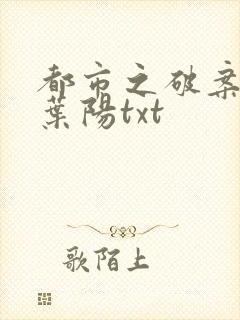 都市之破案狂少叶阳txt