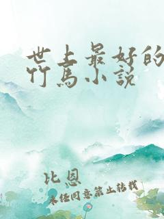 世上最好的青梅竹马小说