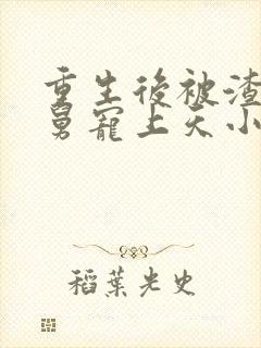 重生后被渣男舅舅宠上天小说免费阅读