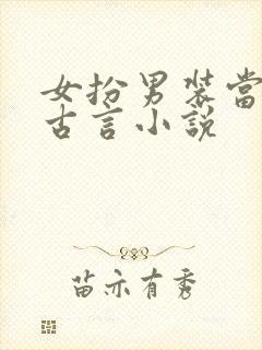 女扮男装当官的古言小说