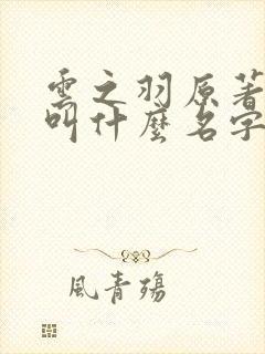 云之羽原著小说叫什么名字