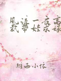 风流一夜高冷总裁带娃求嫁短剧大结局