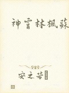 神霄林枫苏慕白