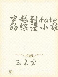 穿越到fate的综漫小说
