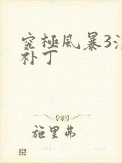 究极风暴3汉化补丁