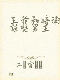 王爷和暗卫的小说双男主