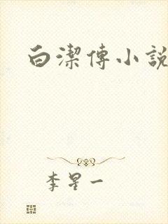 白洁传小说在线